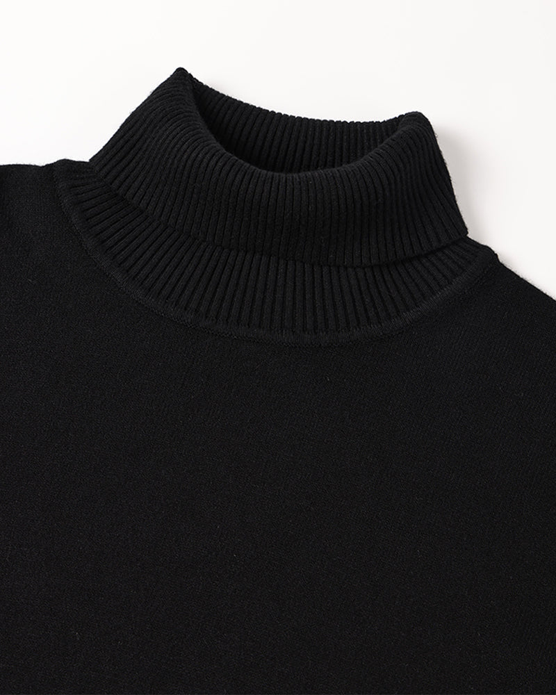 Pull Col Roulé en Laine Mérinos